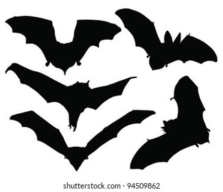 bats silhouette-vector