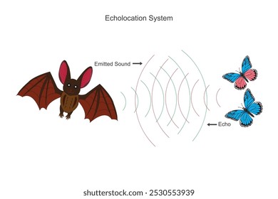 Os morcegos usam ecolocalização emitindo sons de alta frequência que rebatem objetos, permitindo-lhes navegar, caçar e detectar presas no escuro com precisão.
