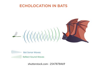 Os morcegos usam ecolocalização emitindo sons de alta frequência e analisando os ecos de retorno para navegar, caçar presas e evitar obstáculos no escuro.