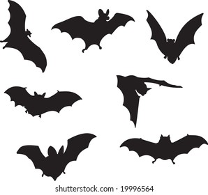 bats vector