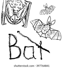 Bats. Vector black silhouettes on white background