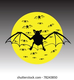 bats vector illustration
