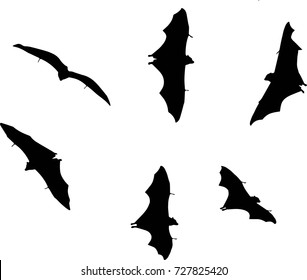 bats vector. vectored flying bats