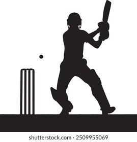 Batsman Cricket in the Field 2
