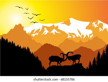 battle of ibex in Mountains