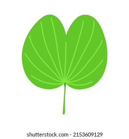 Bauhinia green fresh leaf. Flat vector illustration isolated on white.