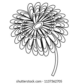 bautiful flower icon 