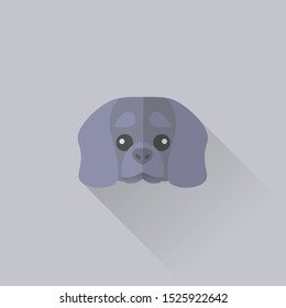 Bavarian Mountain Scent Hound Dog Head Vector Flat Design Illustration from Front View for Website Icon, Social Media or Blog Post for Dog Related Business