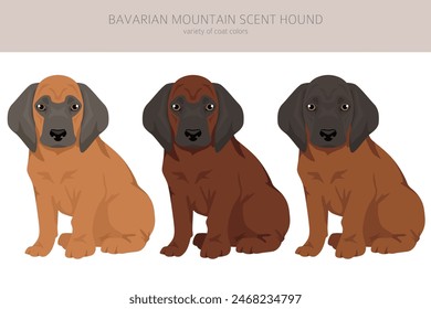 Bavarian mountain scent hound puppy clipart. Different coat colors and poses set.  Vector illustration