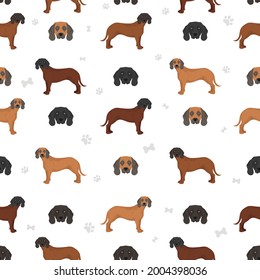 Bavarian mountain scent hound seamless  pattern. Different coat colors and poses set.  Vector illustration