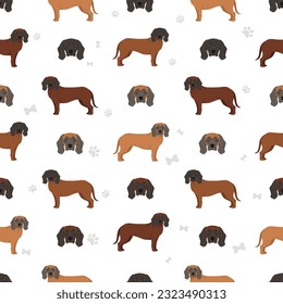 Bavarian mountain scent hound seamless  pattern. Different coat colors and poses set.  Vector illustration