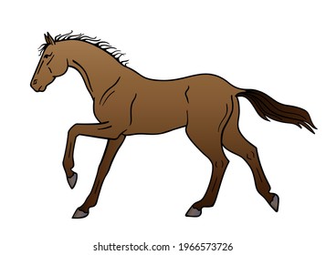 1,661 Gallop animal gait Images, Stock Photos & Vectors | Shutterstock
