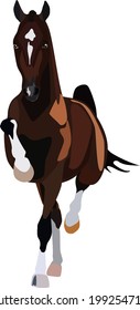 
Bay horse of the hackne breed. Vector illustration