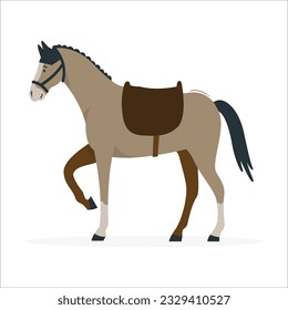 Bay horse reared and bent its front legs bandaged with polo wraps. Stallion dressed in sport tack including saddle, snaffle bit bridle. Steed pricked up its ears. art for equestrian goods. 1967