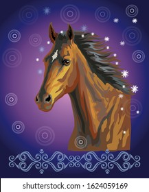 Bay horse, vector colorful realistic illustration. Portrait of running bay horse with stars in long mane isolated on dark blue gradient background with ornament and circles. Image for art and design 