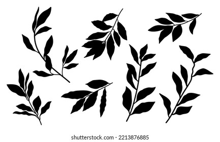Bay laurel leaf branches, set stencil template for cutting programs