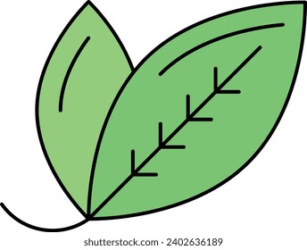 Bay Lorrel Laurel verlässt Concept, Fresh Lauraceae Vektordesign, Symbol für Konditionen und Gewürze, Lebensmittelkochzutaten Zeichen, Kräuter und Tafelsauce Stockillustration