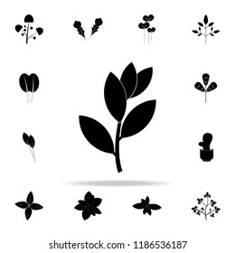 bay laurel tree icon. Plants icons universal set for web and mobile