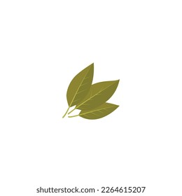 Aromatisches Blätterblatt Laurus nobilis Bay Lorrel Symbol