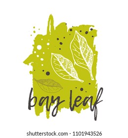Bay leaf concept design. Hand drawn vector illustration. Herbs and spices. Can be used for farmers market, food festival, menu, cafe, restaurant, bar, poster, banner, emblem, sticker, placard.