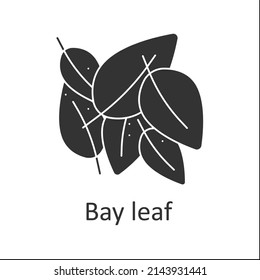 Icono de glifo de la hoja de la bahía. Hoja seca aromática para la preparación de alimentos. Sazonamiento fuerte. El concepto de hierbas y especias. Señal plana rellena. Ilustración vectorial de silueta aislada