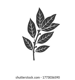 Bay leaf glyph icon. Culinary herbs and spice. Monochrome condiment vector illustration. svg