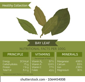 The bay leaf health benefits. Vector illustration with useful nutritional facts. Essential vitamins and minerals in healthy food. Medical, healthcare and dietory concept.