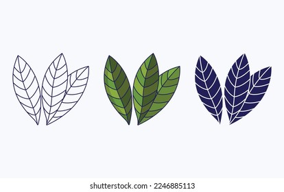 Bay Leaf, ilustración vectorial Herbs