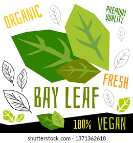 Bay leaf icon herb label fresh organic condiment, nuts herbs spice condiment color graphic design vegan food. Hand drawn vector illustrations.