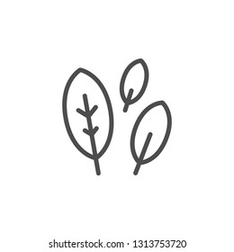 Bay leaf line icon