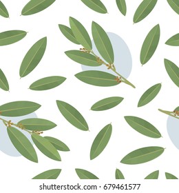 Bay leaf seamless vector pattern. Food background.