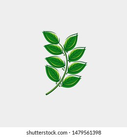 Bay leaf set. Collection icon tropical leaves. Vector