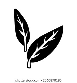 Bay leaf, leaf silhouette. Culinary seasonings and spices, hand-drawn. of sketches in small details. A black outline on a white background. Vector illustration. Seasonings, spices, food additives