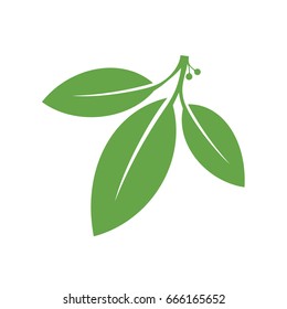 Bay leaf silhouette. Laurel leaf vector. Isolated bay leaf on white background