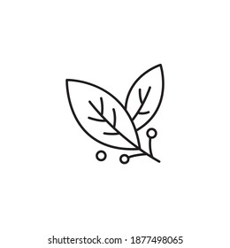 Bay leaf simple thin line icon vector illustration svg