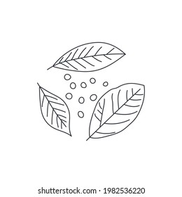 Bay leaf simple vector illustration