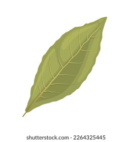 Gewürzkartoon aus Lorblättern. Kräutergrün, Kräuterpflanze, pflanzlicher Bio, Zutatenlaurel, gewürztes Aroma, Gewürznelke auf der Kochbucht, Vektorgrafik