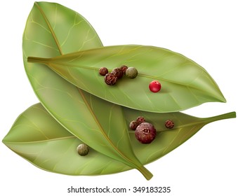 Bay leaves from the colored mix pepper corns. Vector illustration svg