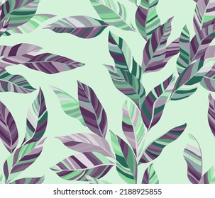 Bay leaves floral vector seamless pattern. Houseplant striped colorful foliage. Fabric print with calathea twigs. Summer endless pattern with tropical leaves. Wallpaper cute design