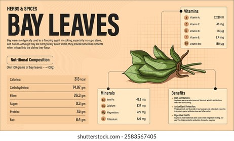 Bay Leaves Herb Nutrition Facts and Health Benefits–Detailed Vector Infographic for Healthy Eating and Wellness