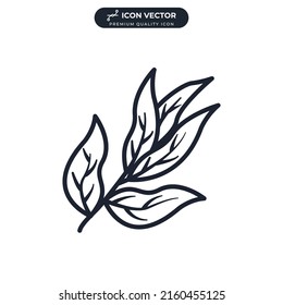 bay leaves icon symbol template for graphic and web design collection logo vector illustration