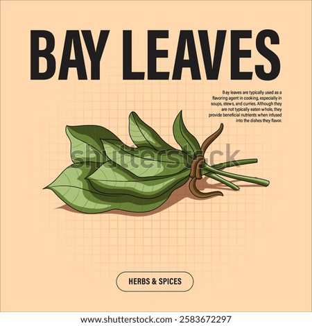 Bay Leaves Premium Vector Clipart High-Quality Illustration for Cooking Branding and Packaging