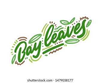 Bay leaves vector illustration.Vector set of element for advertising, packaging design of products.
