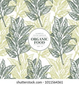 Bay leaves. Vector seamless pattern for design menu, packaging and recipes. Hand drawn vintage illustration. Botanical banner template. Engraved style.