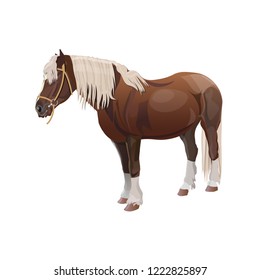 Bay Shire Draft Horse. Vector Illustration Isolated On White Background