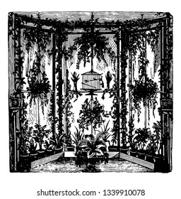 Bay Window Conservatory is numerous plants near the bay window posts in the transverse direction of the building run longitudinally vintage line drawing or engraving illustration.