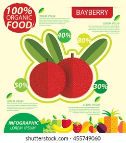 Bayberry. Infographic template. vector illustration.