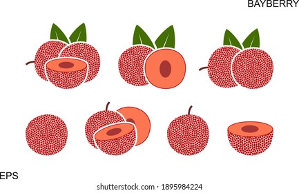 Bayberry logo. Isolated bayberry on white background