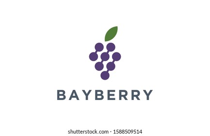 Bayberry vector logo design inspiration