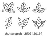 a bay-leaves with lainar vector lllustration